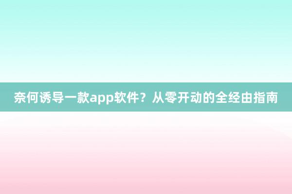 奈何诱导一款app软件？从零开动的全经由指南