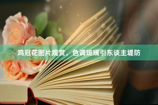 鸡冠花图片观赏，色调斑斓引东谈主堤防