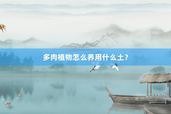 多肉植物怎么养用什么土？