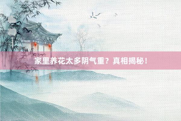 家里养花太多阴气重？真相揭秘！