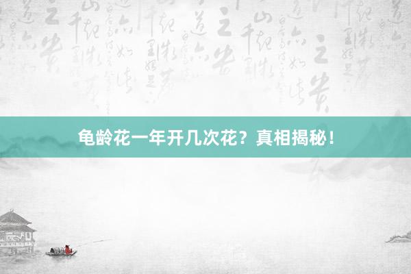 龟龄花一年开几次花？真相揭秘！